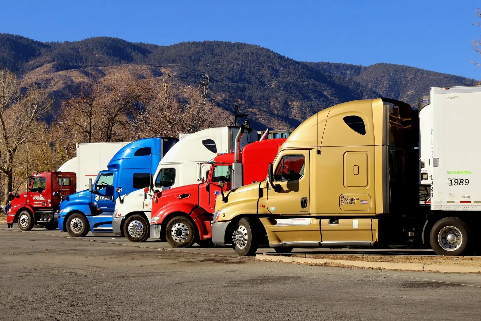 Five semi-truck cabs in red, blue, white, red and gold parked in a row at a rest area in front of wooded hills.